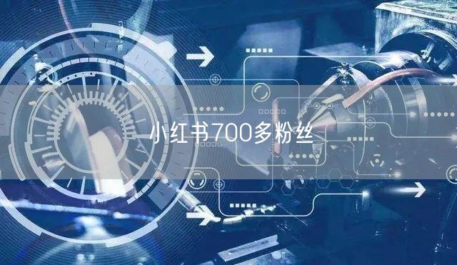 小红书700多粉丝