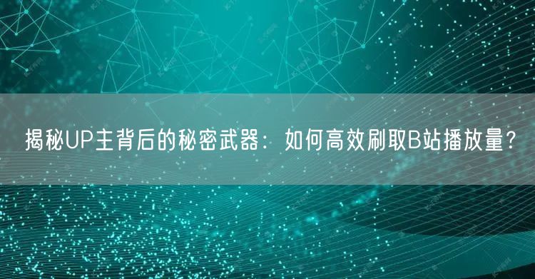 揭秘UP主背后的秘密武器：如何高效刷取B站播放量？