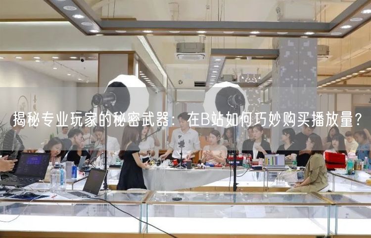 揭秘专业玩家的秘密武器：在B站如何巧妙购买播放量？