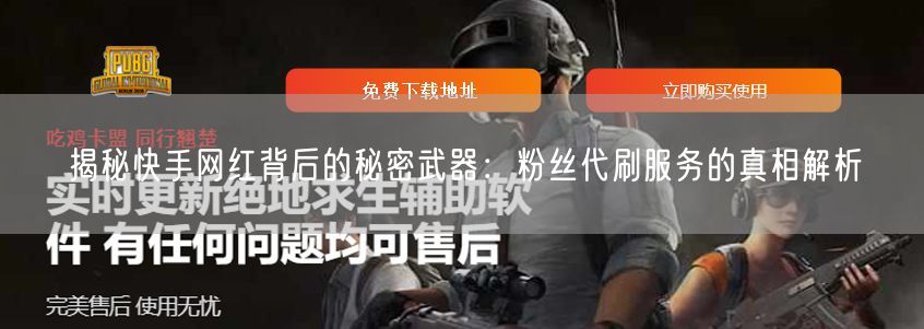 揭秘快手网红背后的秘密武器：粉丝代刷服务的真相解析