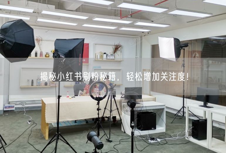揭秘小红书刷粉秘籍，轻松增加关注度！