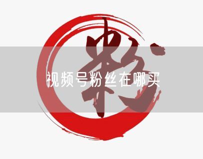 视频号粉丝在哪买