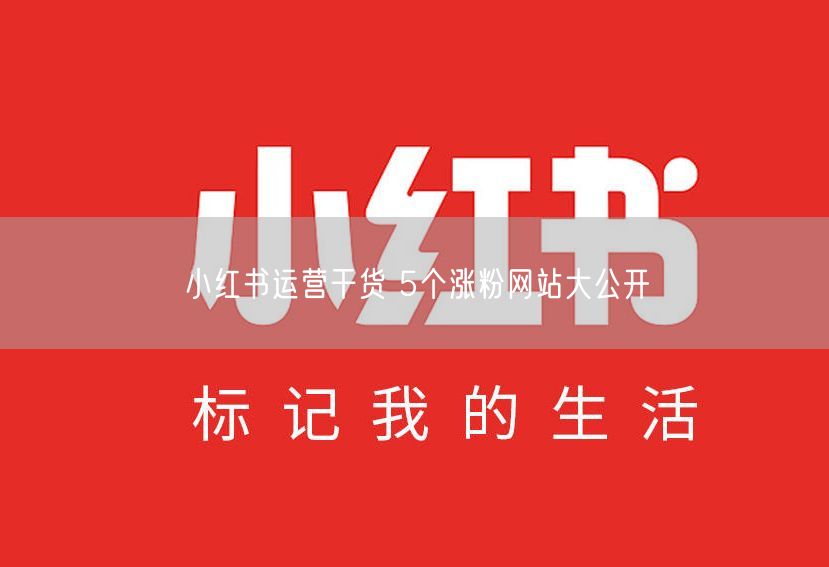 小红书运营干货 5个涨粉网站大公开